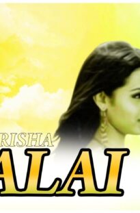 Next varan Trisha varam    Alai Full Movie HD | Simbu | Trisha | Vivek
