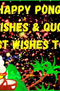 Happy Pongal 2022 wishes| Happy pongal wishes|Happy Pongal whatsapp status| Pongal Greeting| Status
