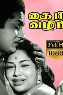 THAI PIRANDHAL VAZHI PIRAKUM | S. S. Rajendran, M. N. Rajam | Tamil old classic movie | FULL HD .