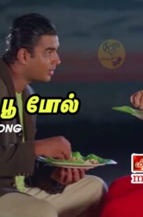 Nenjai Poo Pol Minnale HD | Minnale Songs Nenjai Poo Pol | Unreleased Tamil
