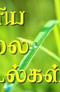 Tamil songs for Morning – Pleasant Tamil songs to start your day